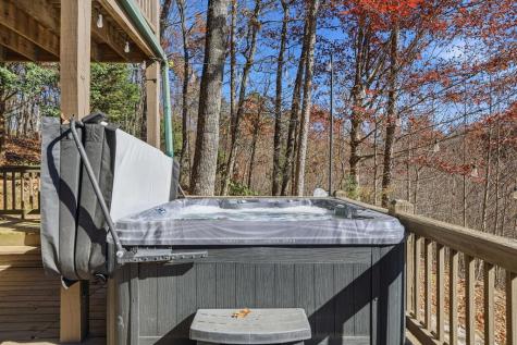 31 The Kings Court Cherry Log GA 30522