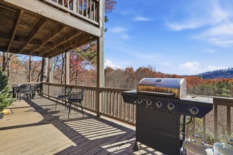 31 The Kings Court Cherry Log GA 30522