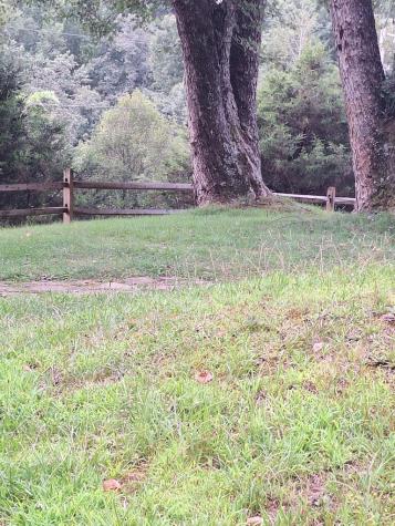 523 Pantertown Circle Mineral Bluff GA 30559