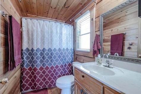54 Henderson Lane Mineral Bluff GA 30559