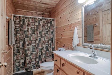 54 Henderson Lane Mineral Bluff GA 30559