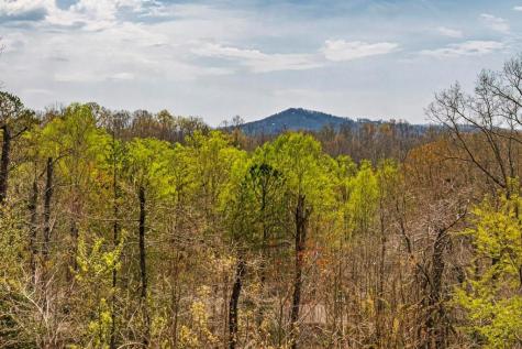 54 Henderson Lane Mineral Bluff GA 30559