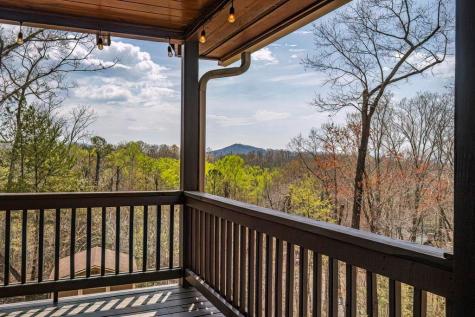54 Henderson Lane Mineral Bluff GA 30559