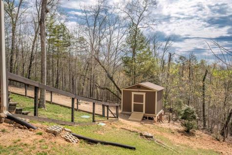 54 Henderson Lane Mineral Bluff GA 30559