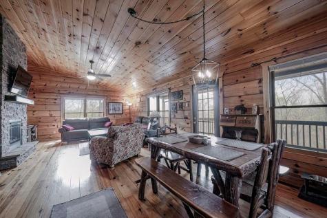 54 Henderson Lane Mineral Bluff GA 30559