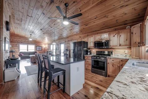 54 Henderson Lane Mineral Bluff GA 30559