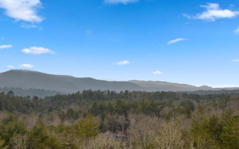 13 Camden Way Mineral Bluff GA 30559