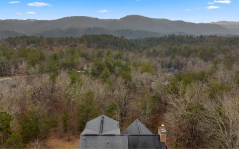 13 Camden Way Mineral Bluff GA 30559