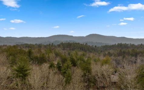 13 Camden Way Mineral Bluff GA 30559