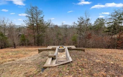 13 Camden Way Mineral Bluff GA 30559