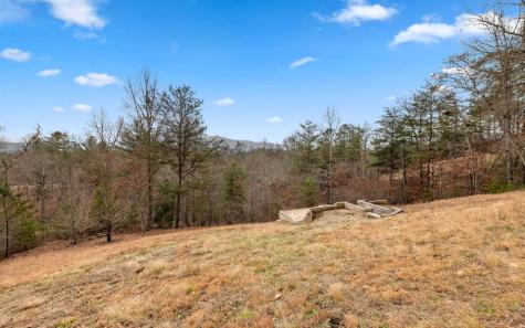 13 Camden Way Mineral Bluff GA 30559