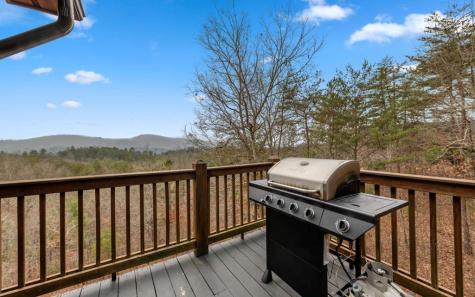 13 Camden Way Mineral Bluff GA 30559