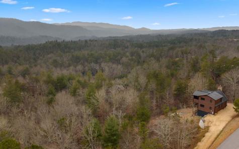 13 Camden Way Mineral Bluff GA 30559