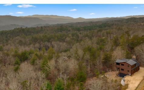 13 Camden Way Mineral Bluff GA 30559