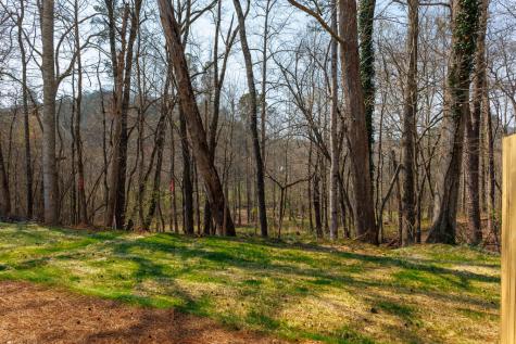200 Back Pine Way Ellijay GA 30540