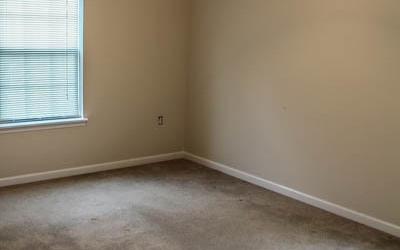 244 Twin Peaks Drive Mineral Bluff GA 30559