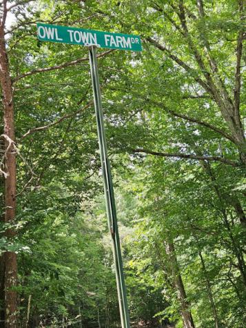 287 Owltown Farm Drive Ellijay GA 30536