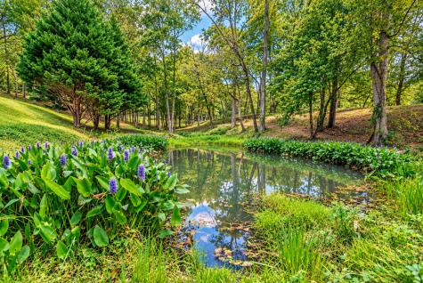286 Garrett Drive Ellijay GA 30536