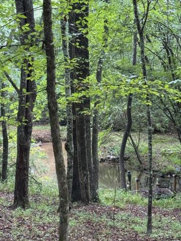 493 Harper Valley Road Mineral Bluff GA 30559