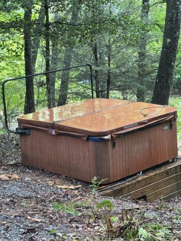 493 Harper Valley Road Mineral Bluff GA 30559