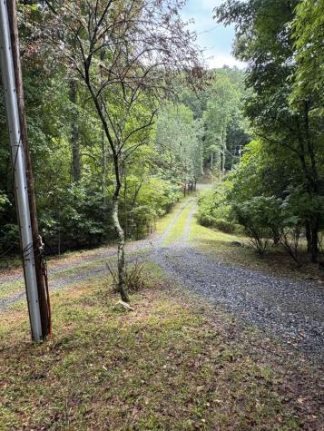 493 Harper Valley Road Mineral Bluff GA 30559