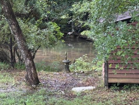 493 Harper Valley Road Mineral Bluff GA 30559