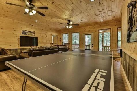 345 Farmer Circle Mineral Bluff GA 30559