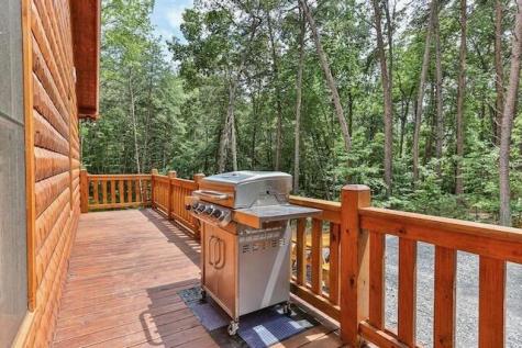 345 Farmer Circle Mineral Bluff GA 30559