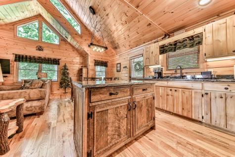 88 Black Gum Lane Blue Ridge GA 30513