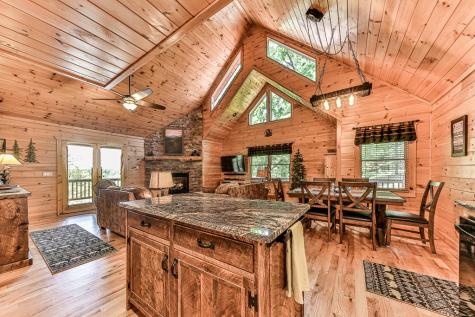 88 Black Gum Lane Blue Ridge GA 30513