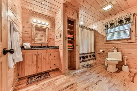88 Black Gum Lane Blue Ridge GA 30513