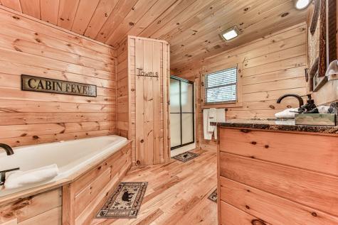 88 Black Gum Lane Blue Ridge GA 30513