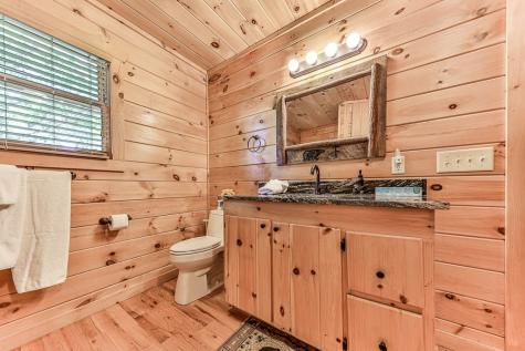 88 Black Gum Lane Blue Ridge GA 30513