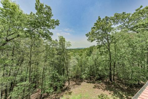 88 Black Gum Lane Blue Ridge GA 30513