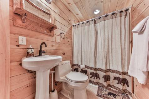 88 Black Gum Lane Blue Ridge GA 30513