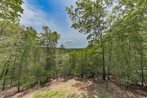88 Black Gum Lane Blue Ridge GA 30513