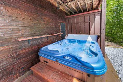88 Black Gum Lane Blue Ridge GA 30513