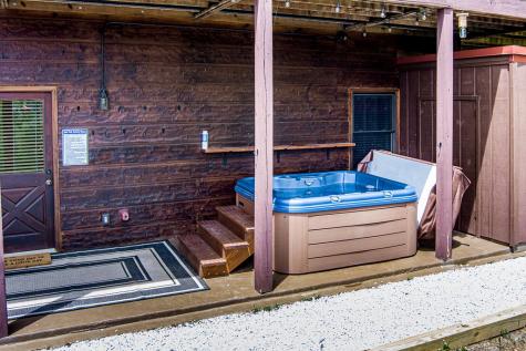 88 Black Gum Lane Blue Ridge GA 30513
