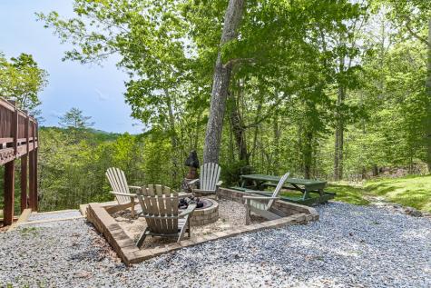 88 Black Gum Lane Blue Ridge GA 30513