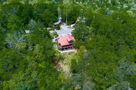 88 Black Gum Lane Blue Ridge GA 30513