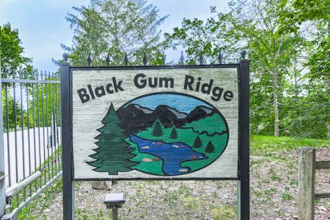 88 Black Gum Lane Blue Ridge GA 30513