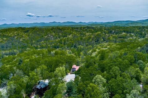 88 Black Gum Lane Blue Ridge GA 30513
