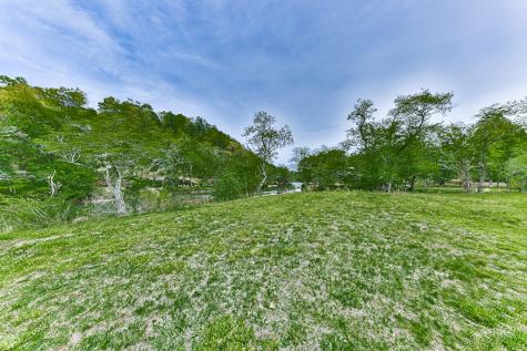 88 Black Gum Lane Blue Ridge GA 30513