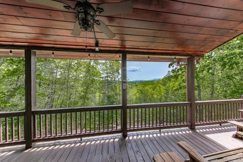 88 Black Gum Lane Blue Ridge GA 30513
