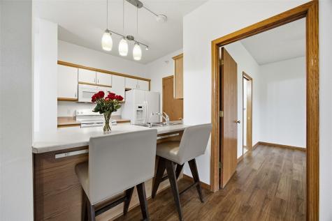 250 Cimarron Drive Hiawatha IA 52233