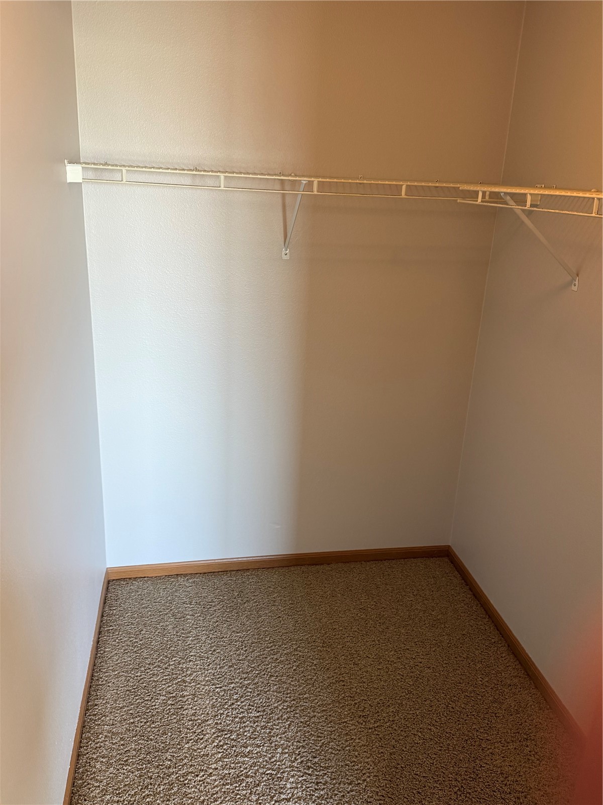 5575 Kacena Avenue Marion IA 52302
