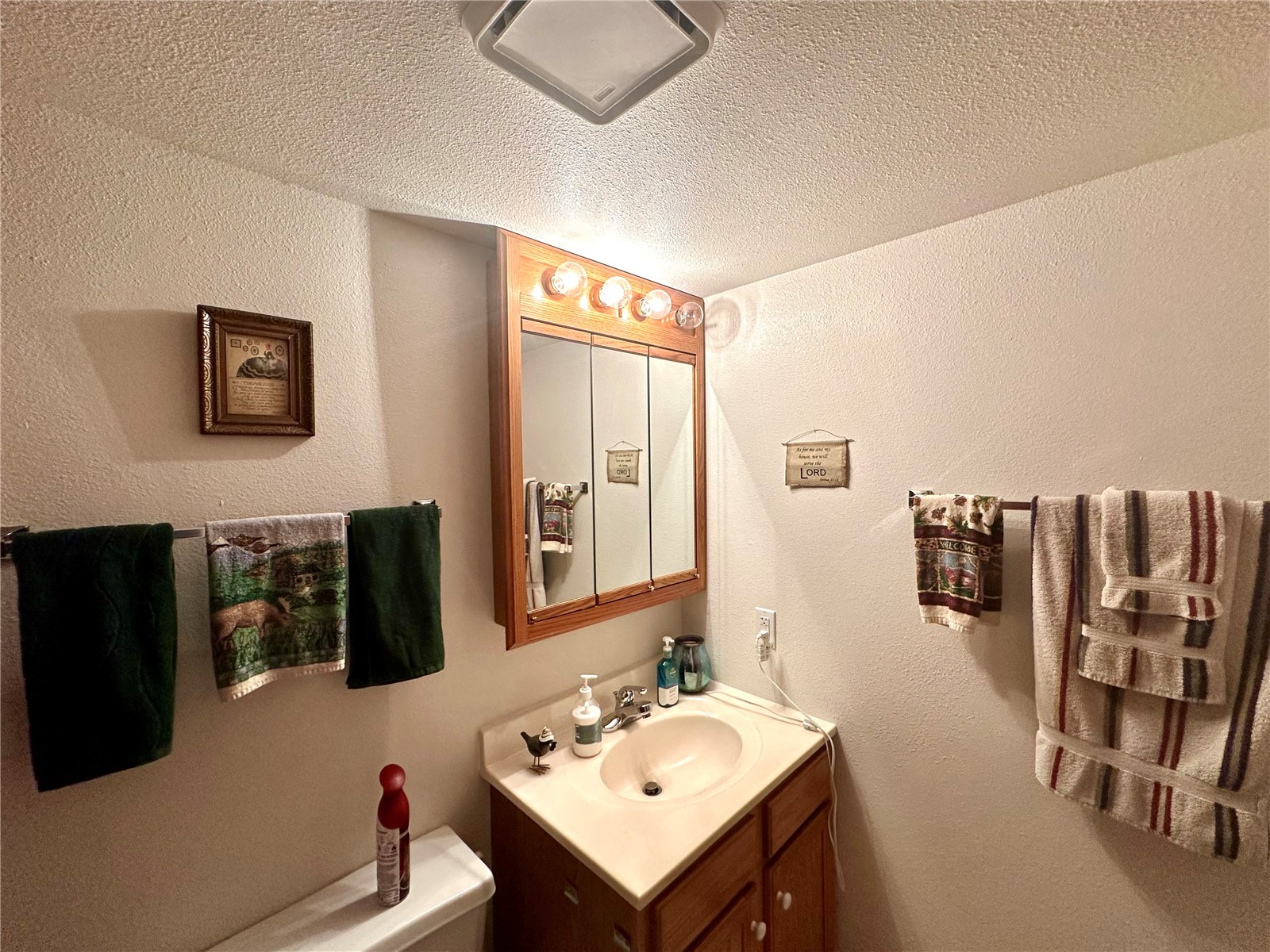 1209 Forest Glen Court SE Cedar Rapids IA 52403