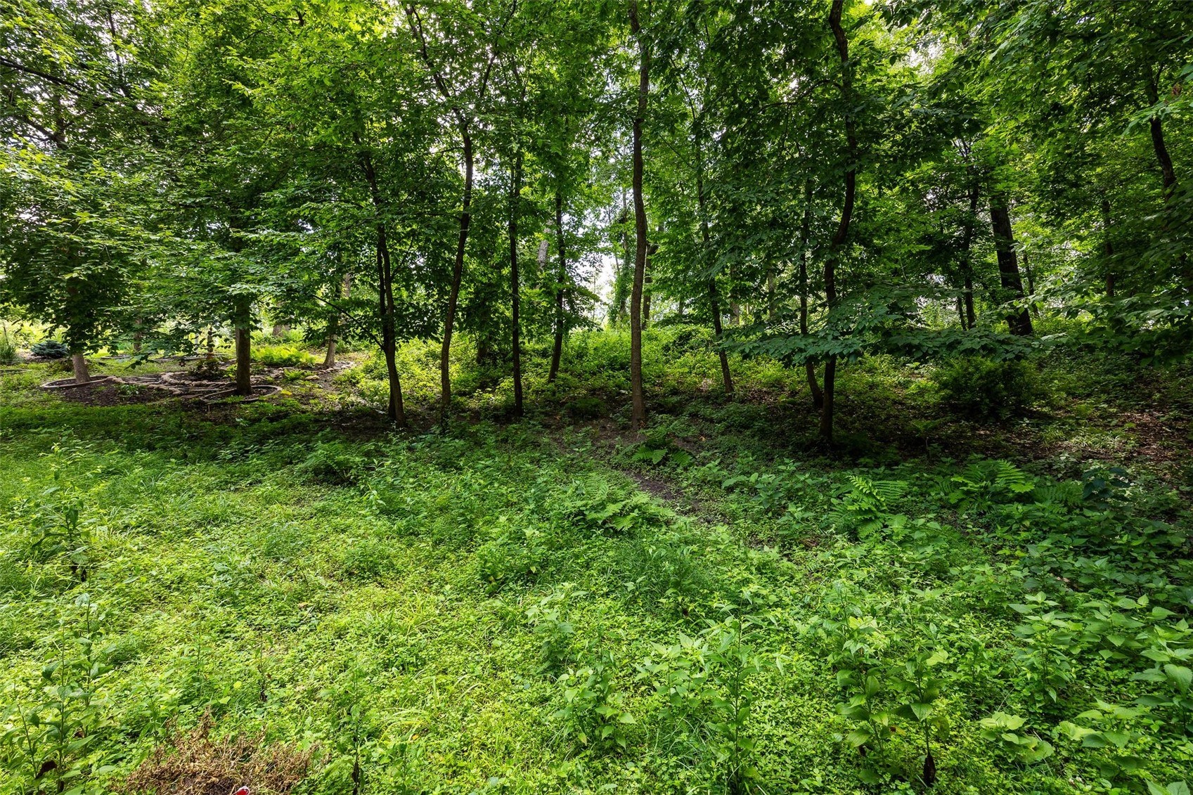 721 Beaver Ridge Court SE Cedar Rapids IA 52403