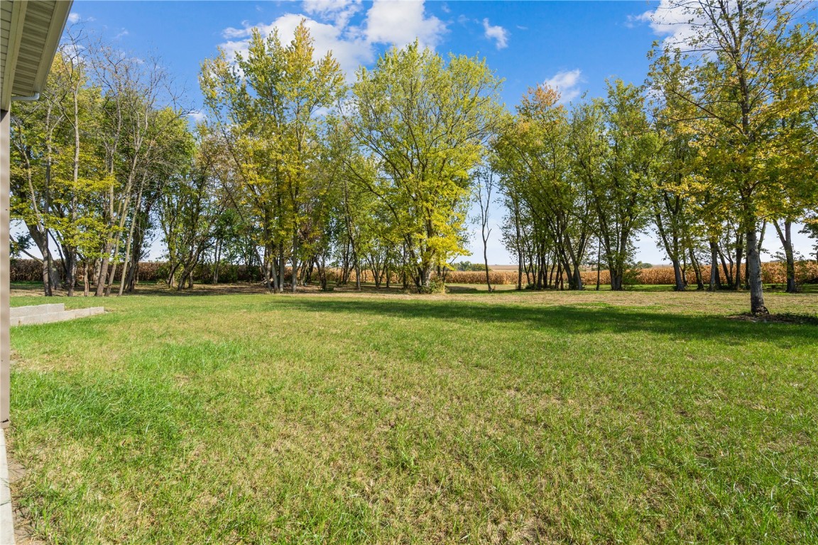 445 1st Street N Winthrop IA 50682