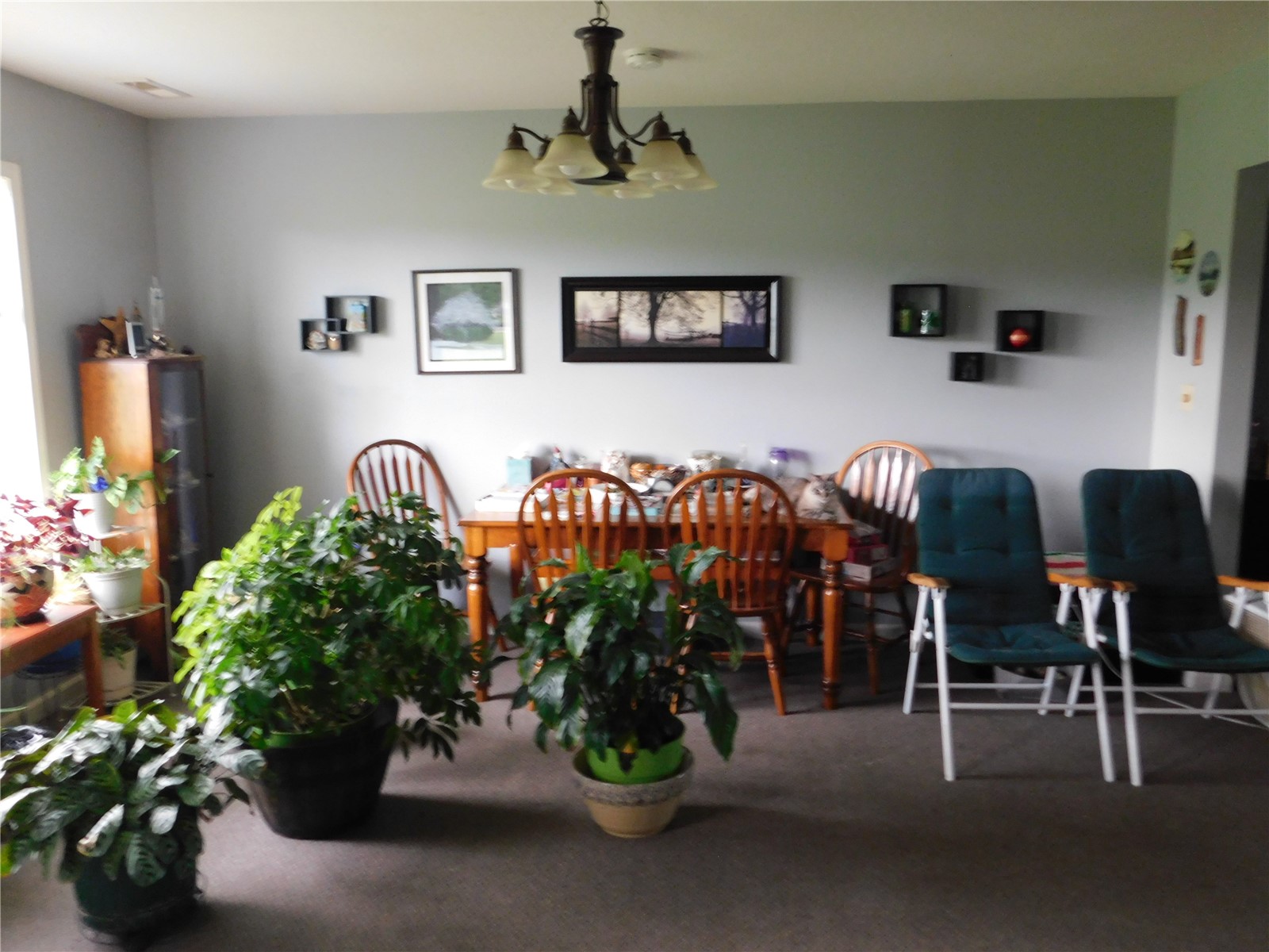 508 E Preston Street Stanwood IA 52337